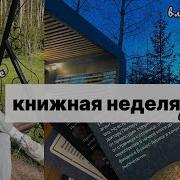 Книга Птичье Гнездо