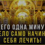 Игорь Желудок Я Верю В Пениса