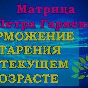 Матрица Гаряева Торможение Старения На Текущем Возрасте