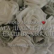Амалия Устарханова Д1А Эца Ахь Са Дог