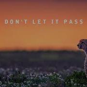 Don T Let It Pass Lyrics Hd The Secret Life Of Walter Mitty