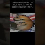 Lil Дождь Хомячок