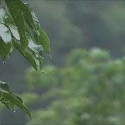 Сура Аррохман Под Шум Дождя