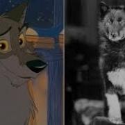 Реальная История Балто