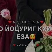Хьай Дог Дашо Хилла Хьа Хьай Дог Хаза Хилла Хьа
