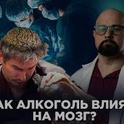 Алкоголь Как Алкоголь Влияет На Организм Человека