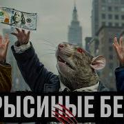 Крысиные Бега Книга