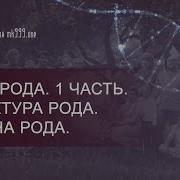 Ксения Меньшикова Сила Рода
