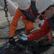 Море Средь Широких Берегов Где Дель