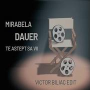 Te Astept Sa Vii Victor Biliac Edit Mirabela Dauer