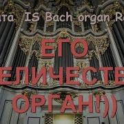 Бах Страшная Музыка