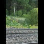 Храп В Поезде