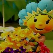 Fifi Intro