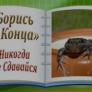 Никогда Не Сдавайся Борись До Конца