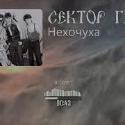 Сектор Газа Нехочуха