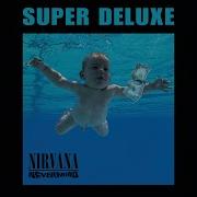 Come As You Are Devonshire Mix Nirvana