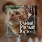 Симбочка Пимпочка Очень Милый Котик