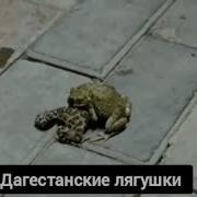 Не Спеши Хабиб