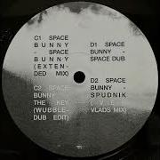 Space Bunny The Key Wubble Dub Edit