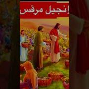 السيد المسيح مثل الزارع للانبا شنوده بدون موسيقى