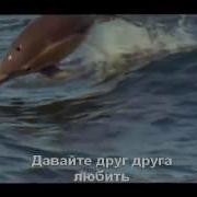 Давайте Друг Друга Любить Обиды Прощать И Ошибки