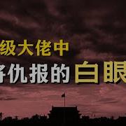 枫林漫谈中共