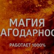 Магия Благодарности Елена Балацкая