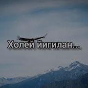 Зайнаб Махаева Птица Счастья