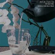 Anton Ishutin I M On Fire Ben Delay Remix