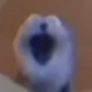 Ааааааааа Всё Виды