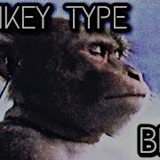 1 Monkey 1 Dril