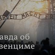Google Порка В Концлагерях