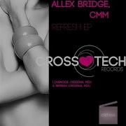Dubnoise Allex Bridge