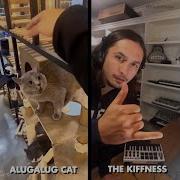 Alugalug Cat Kiffness