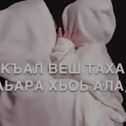 Жима К1Ант Декъал Веш