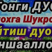 Оллохга Шукрона Айтиш