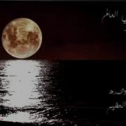 عشقوا الحياة ابية فقلوبهم مملوءة بالعز والايما