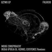 Oztwo Moog Conspiracy