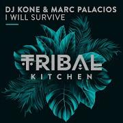 I Will Survive Original Mix Afro Extended
