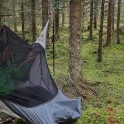 Hammock