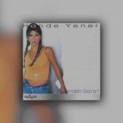 Hande Yener Remix
