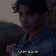 Joe Jonas Sip Your Wine