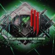 Kill Everybody Bare Noize Remix Skrillex