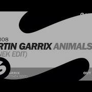 Martin Garrix Animals Botnek Remix