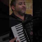 Даргинский Музыка Любимые Муж