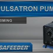 Pulse Feeder