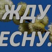 Виталий Русавук Жду Весну