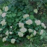 Якутске Песни Сборник