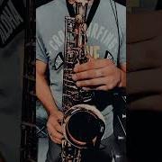 Андрей Бандера И Рада Рай Ты Лети Моя Душа Sax Cover By Omsax