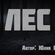 Страшные Истории Лес